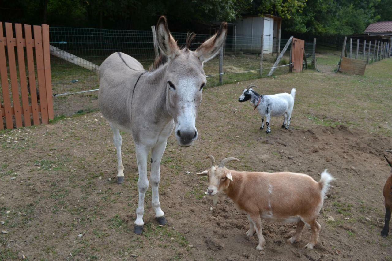 Le Paradis Des Animaux Coublevie Eksteriør billede