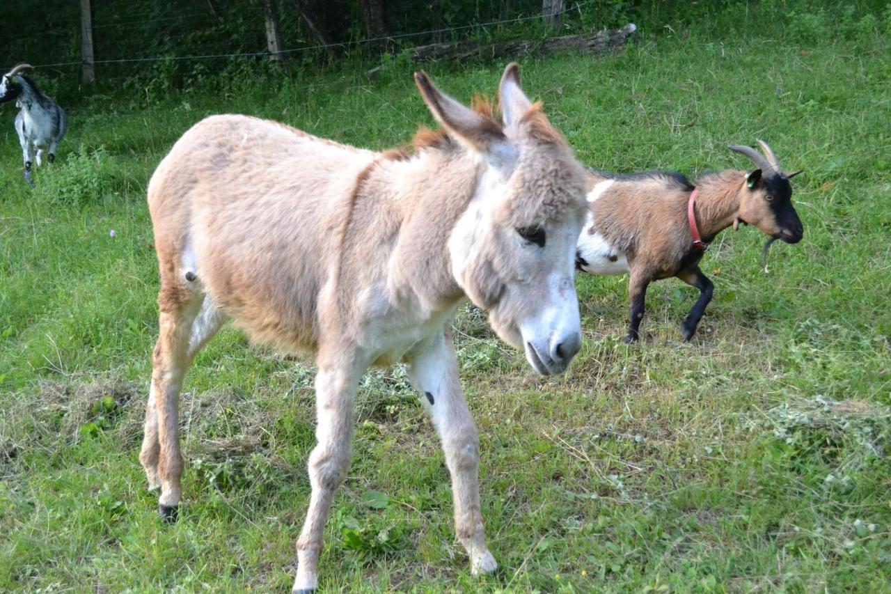 Le Paradis Des Animaux Coublevie Eksteriør billede